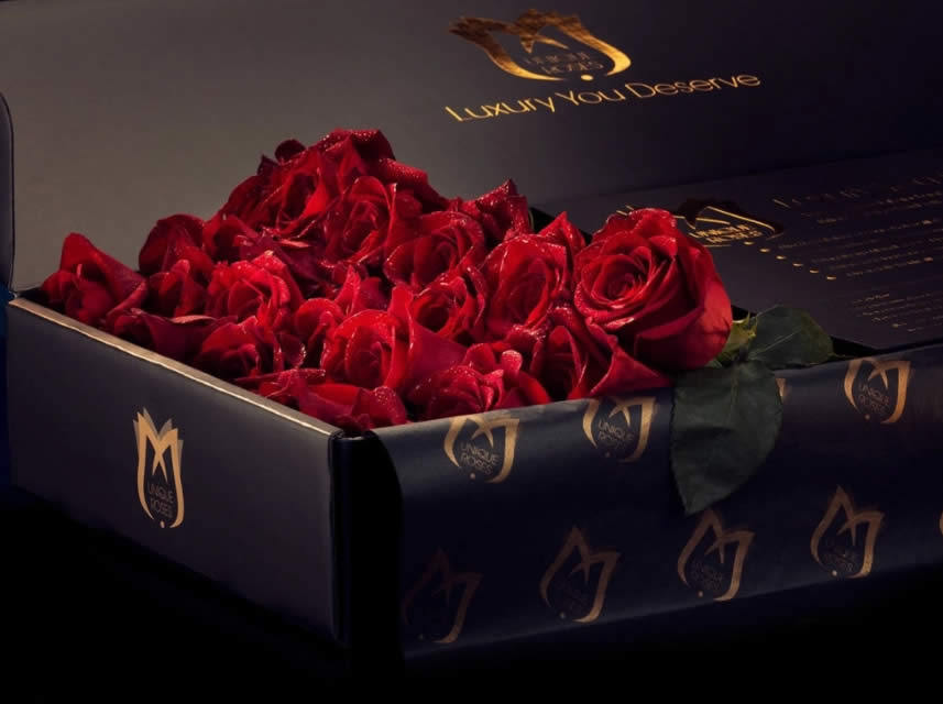 Red roses are a great gift for loved ones