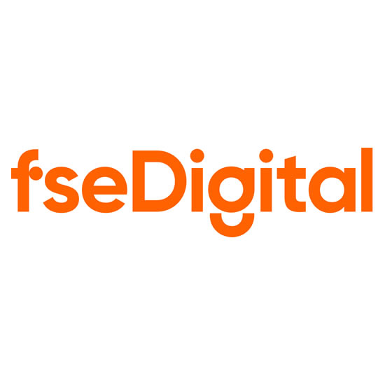 FSE Digital – Franchise Digital Marketing