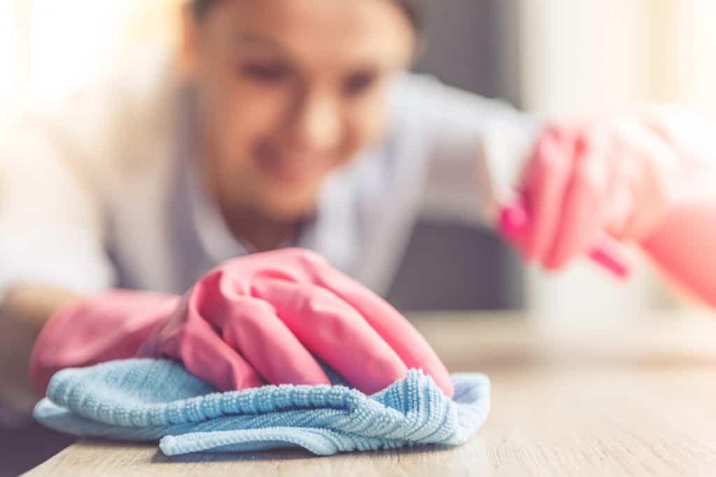 cleaning franchise