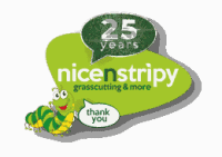 nicenstripy Franchise logo