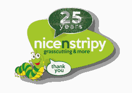 nicenstripy Franchise logo